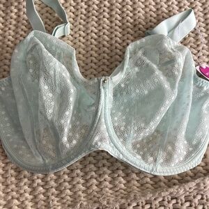 Freya Lace Bra in Light Mint